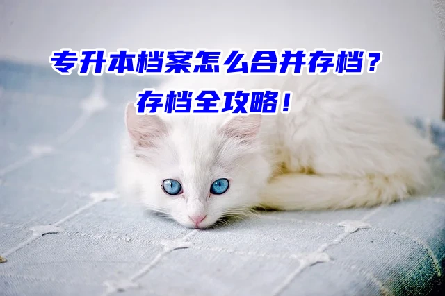 专升本档案怎么合并存档？存档全攻略！