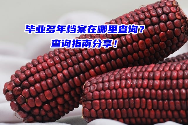毕业多年档案在哪里查询？查询指南分享！