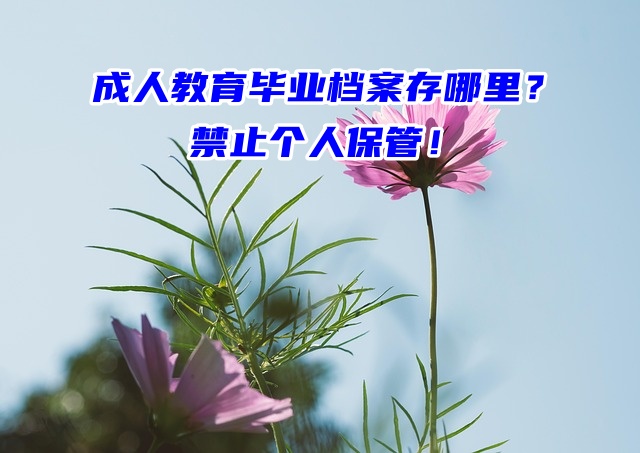 成人教育毕业档案存哪里？禁止个人保管！