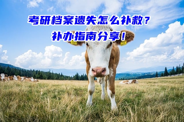 考研档案遗失怎么补救？补办指南分享！