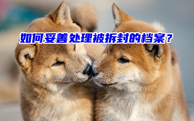 如何妥善处理被拆封的档案？要怎么密封存放？