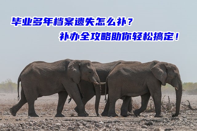 毕业多年档案遗失怎么补？补办全攻略助你轻松搞定！