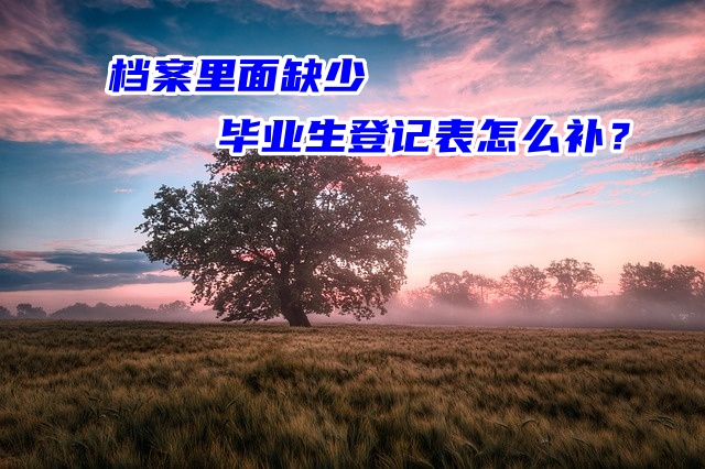 档案里面缺少毕业生登记表怎么补？
