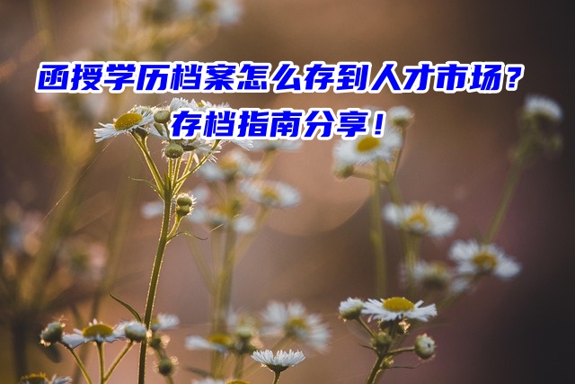 函授学历档案怎么存到人才市场？存档指南分享！