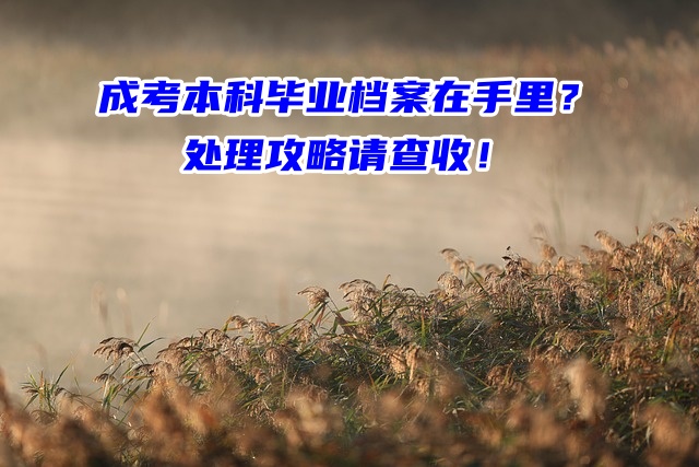 成考本科毕业档案在手里一定要存起来！处理攻略请查收！