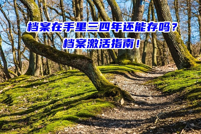 档案在手里三四年还能存吗？档案激活指南！