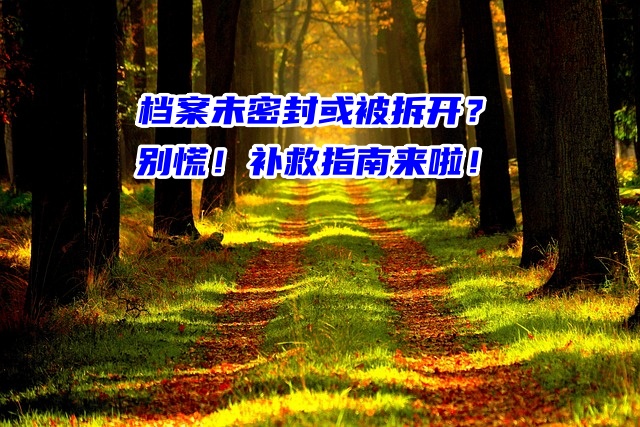 档案未密封或被拆开？别慌！补救指南来啦！