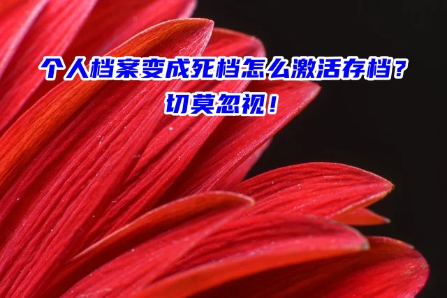 个人档案变成死档怎么激活存档？切莫忽视！