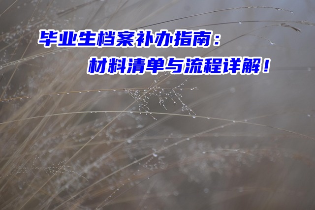 毕业生档案补办指南：材料清单与流程详解！