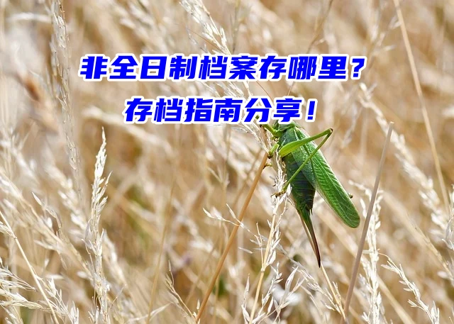 非全日制档案存哪里？存档指南分享！