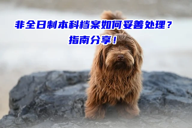 非全日制本科档案如何妥善处理？指南分享！