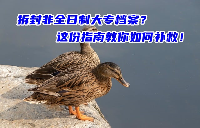 拆封非全日制大专档案？这份指南教你如何补救！