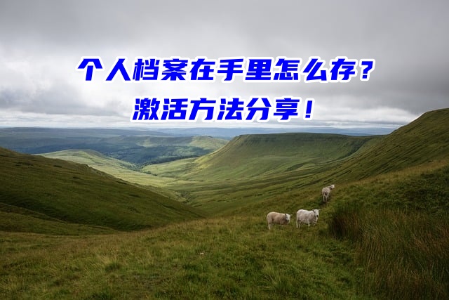 个人档案在手里怎么存？激活方法分享！