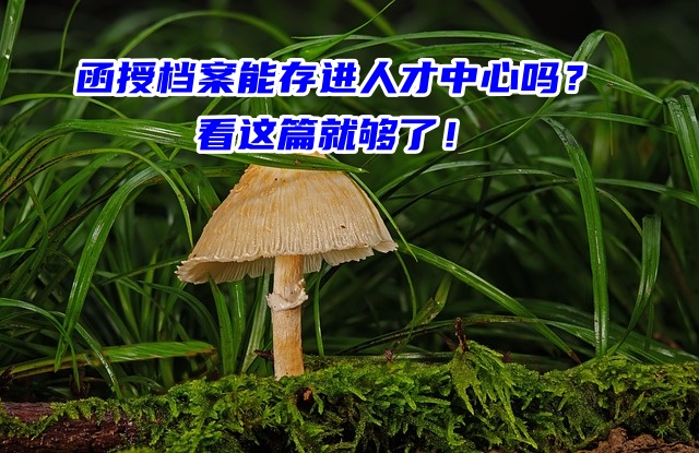 函授档案能存进人才中心吗？看这篇就够了！