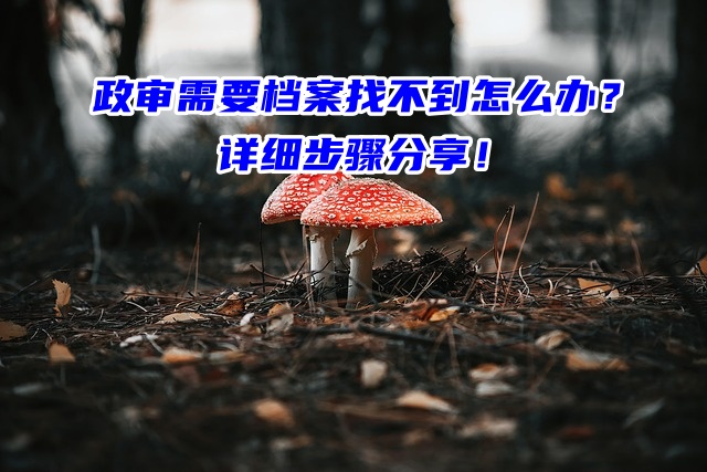 政审需要档案找不到怎么办？详细步骤分享！