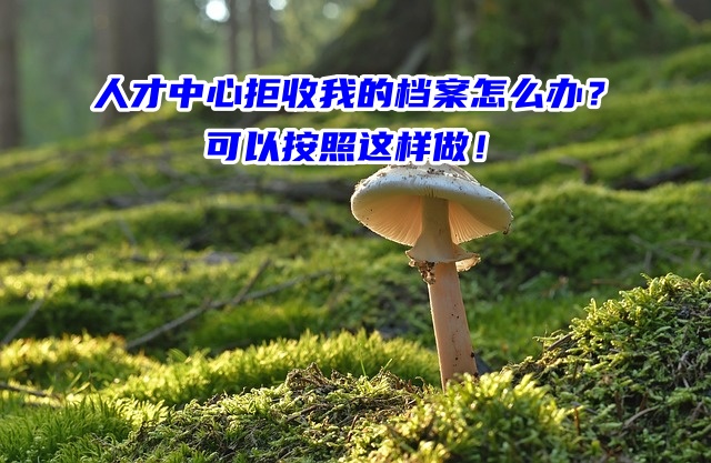 人才中心拒收我的档案怎么办？可以按照这样做！