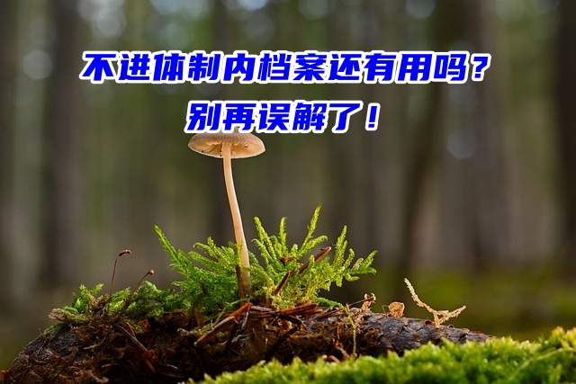 不进体制内档案还有用吗？别再误解了！