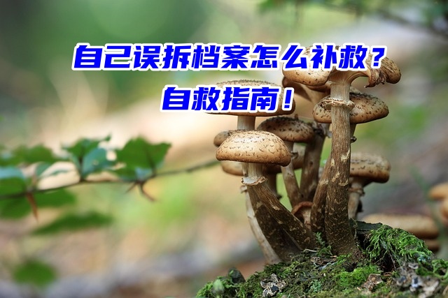 自己误拆档案怎么补救？自救指南！