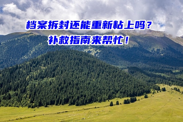 档案拆封还能重新粘上吗？补救指南来帮忙！