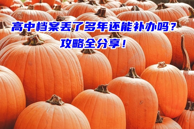 高中档案丢了多年还能补办吗？攻略全分享！
