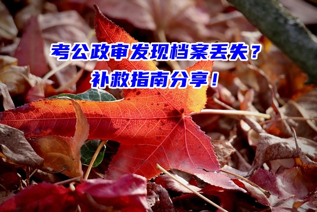 考公政审发现档案丢失？补救指南分享！
