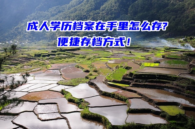 成人学历档案在手里怎么存?赶紧来看便捷存档方式！