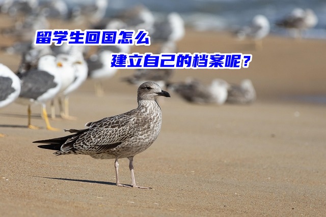 留学生回国怎么建立自己的档案呢？