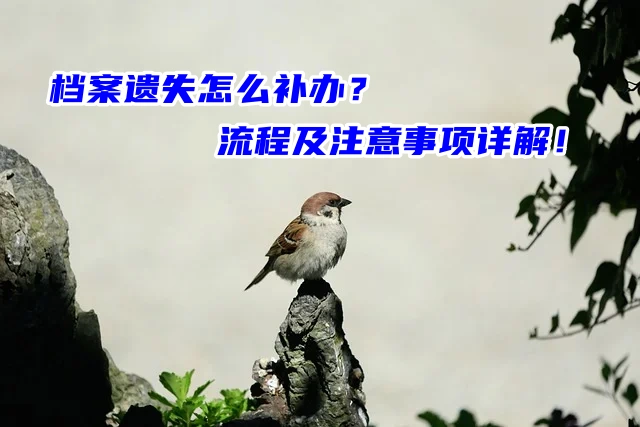 档案遗失怎么补办？流程及注意事项详解！