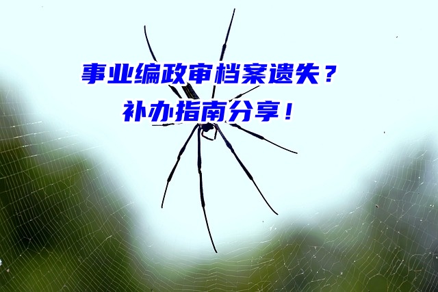 事业编政审档案遗失？补办指南分享！