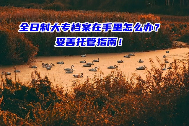 全日制大专档案在手里怎么办？妥善托管指南！