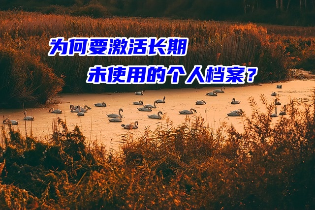 为何要激活长期未使用的个人档案？有什么作用？