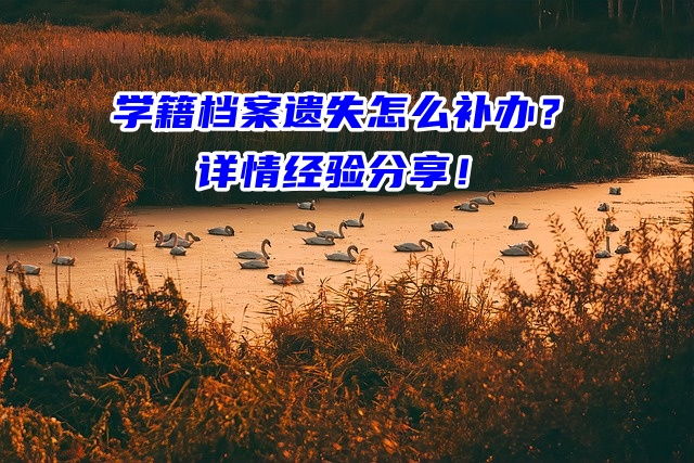 学籍档案遗失怎么补办？详情经验分享！