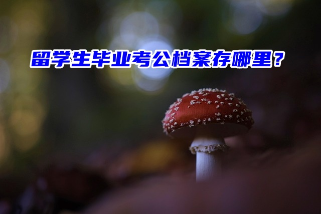 留学生必看！毕业后想考公档案存哪里？