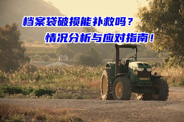 档案袋破损能补救吗？情况分析与应对指南！