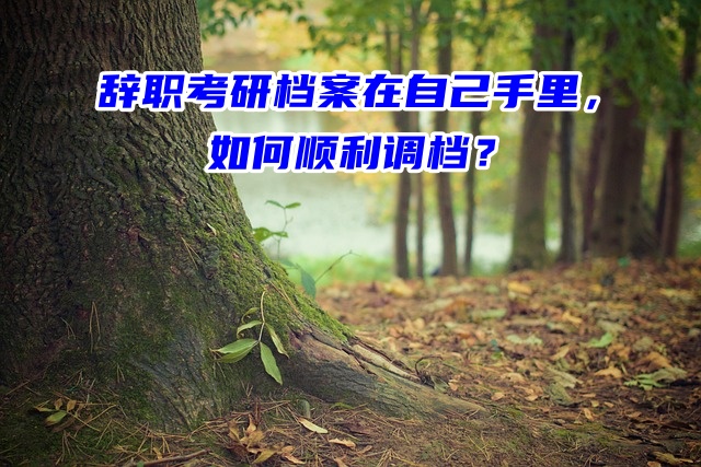 辞职考研档案在自己手里，如何顺利调档？