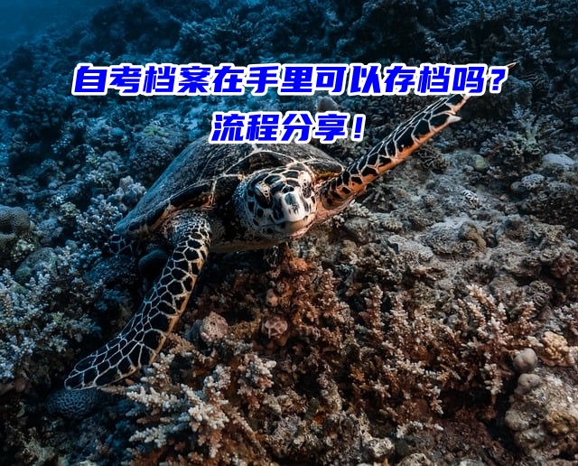 自考档案在手里可以存档吗？流程分享！
