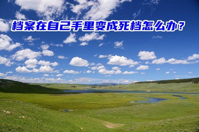 档案在自己手里变成死档怎么办？还有办法解决吗？