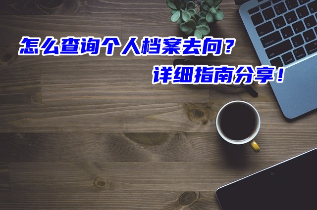 怎么查询个人档案去向？详细指南分享！
