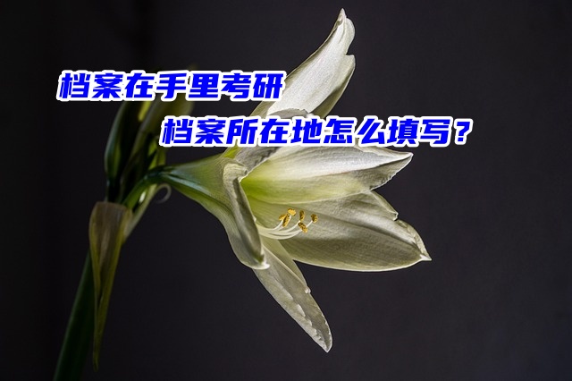 档案在手里考研档案所在地怎么填写？