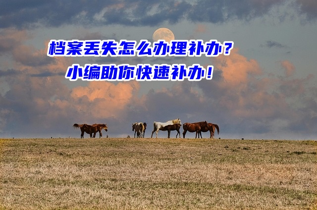 档案丢失怎么办理补办？小编助你快速补办！