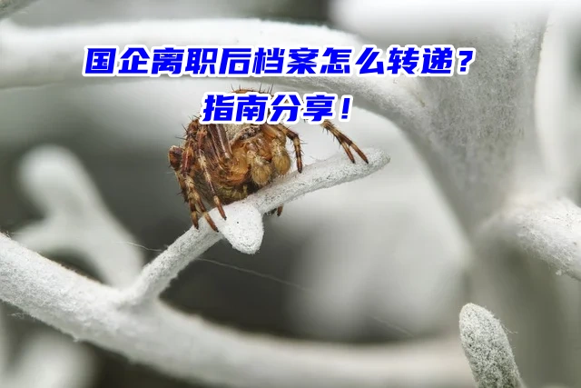 国企离职后档案怎么转递？指南分享！