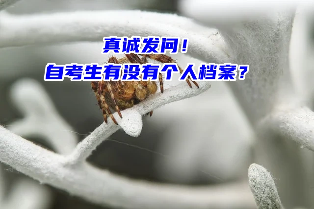 真诚发问！自考生有没有个人档案？