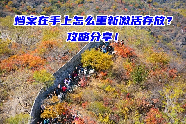 档案在手上怎么重新激活存放？攻略分享！