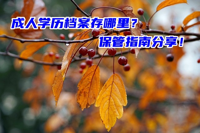 成人学历档案存哪里？保管指南分享！