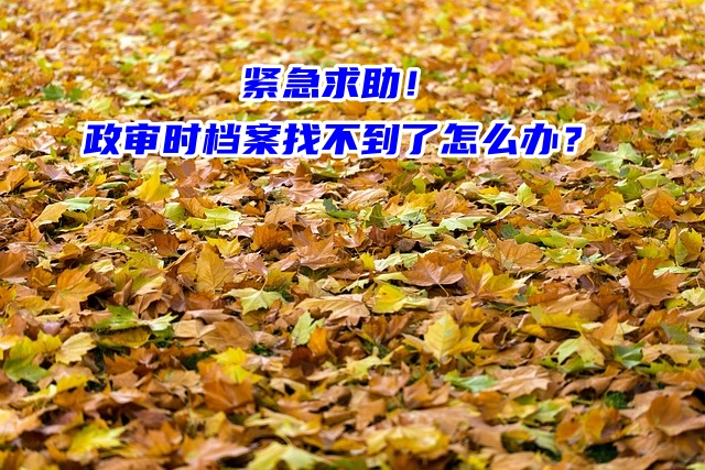 紧急求助！政审时档案找不到了怎么办？