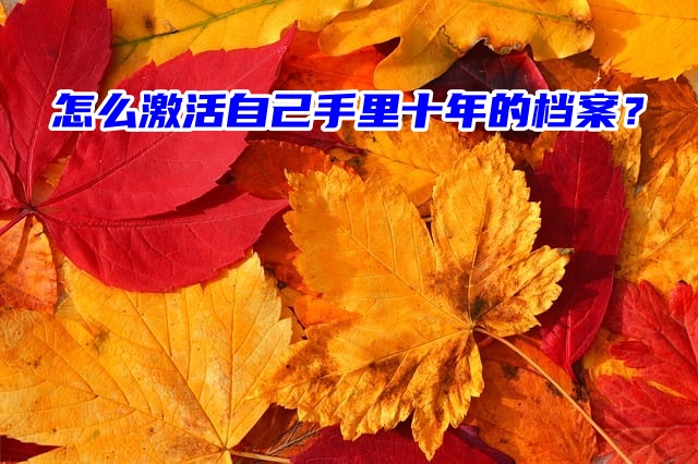 怎么激活自己手里十年的档案？一分钟看完存档流程！