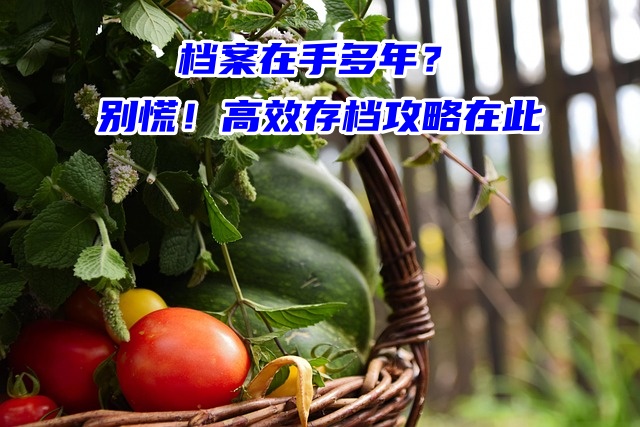 档案在手多年？别慌！高效存档攻略在此