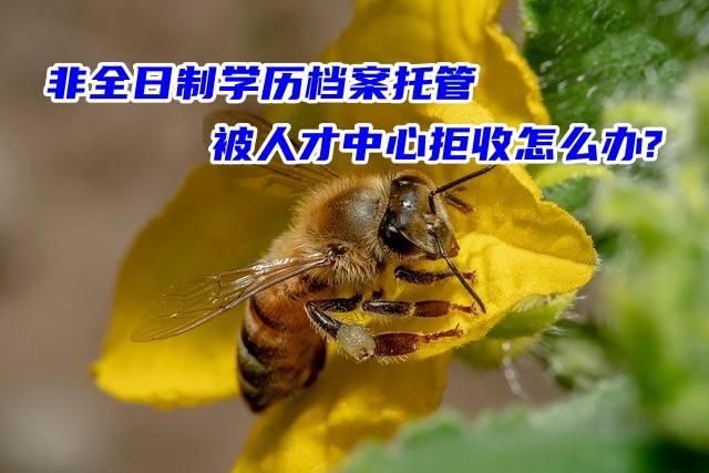 非全日制学历档案托管被人才中心拒收怎么办?