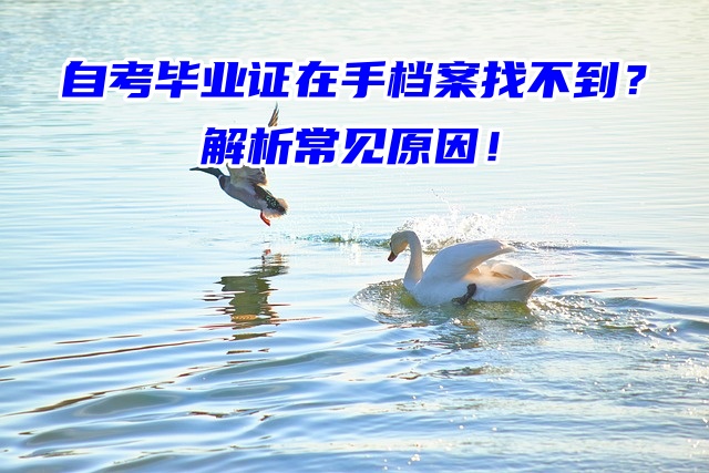 自考毕业证在手档案找不到？解析常见原因！