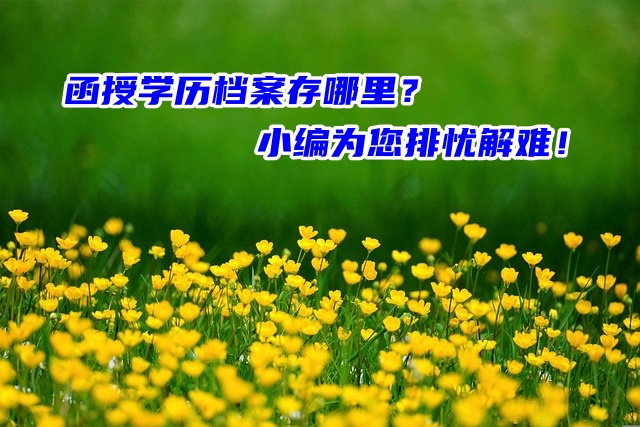 函授学历档案存哪里？小编为您排忧解难！